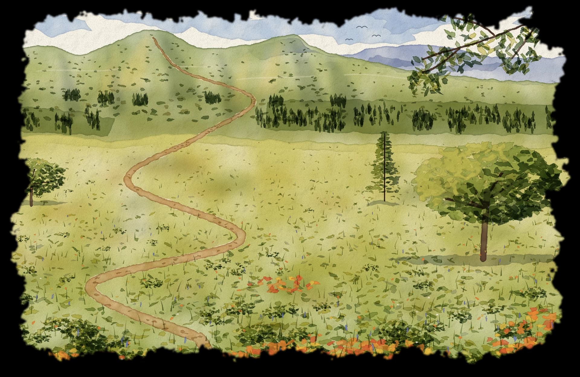 Watercolor of a trail winding up Grizzly Peak through oaks and wildflower meadows