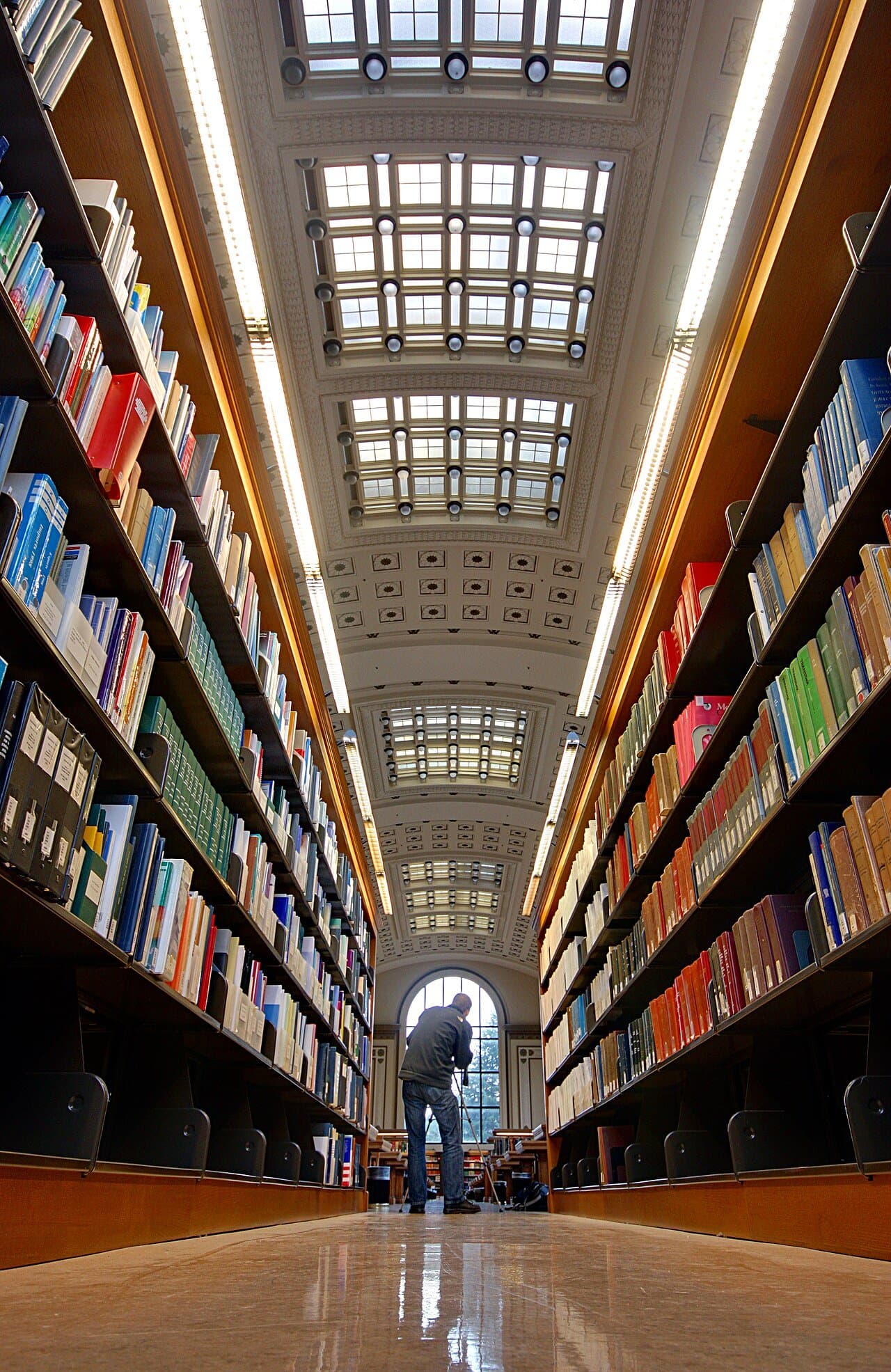A long, sunlit library hall lined with bookshelves